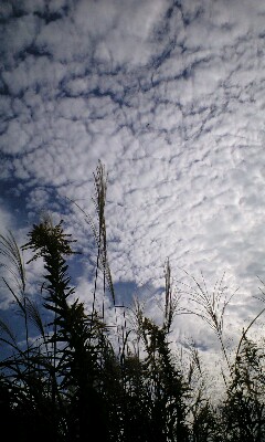 f0149982_17121234.jpg