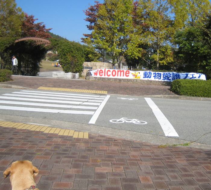e0081584_2210894.jpg