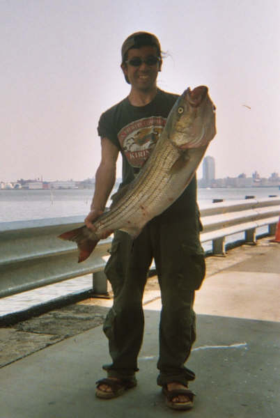 f0024887_4522518.jpg