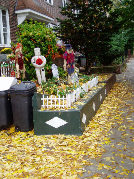 f0024887_528462.jpg
