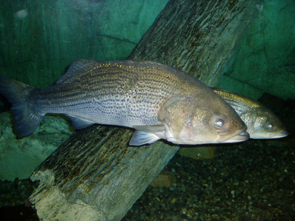 f0024887_593737.jpg