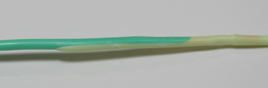 d0127888_20544593.jpg
