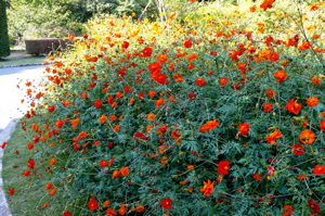 a0079292_16252553.jpg