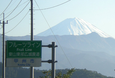 d0129295_15423111.jpg