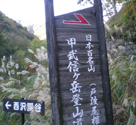 d0129295_15445293.jpg