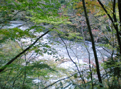 d0129295_15475091.jpg