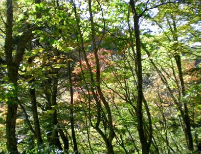 d0129295_15481223.jpg