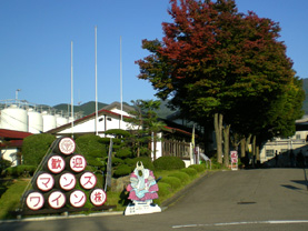 d0129295_15504419.jpg