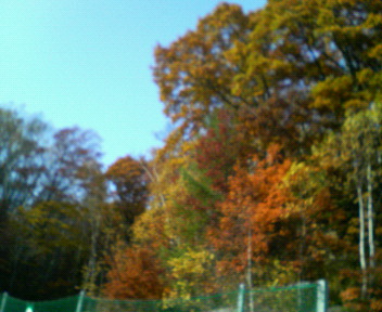 c0090899_19464254.jpg