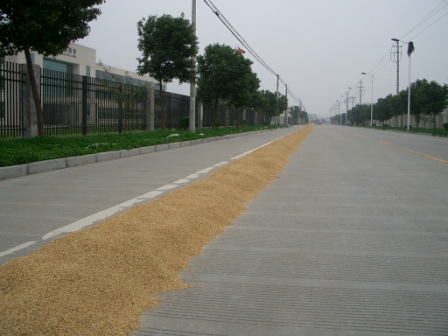 d0090300_2152466.jpg