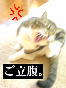 c0035001_20561484.jpg