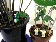 f0061401_21394780.gif