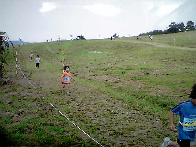f0137402_5363489.jpg