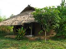 b0083405_23393313.jpg
