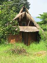b0083405_23404411.jpg