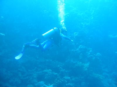 d0114214_13215454.jpg