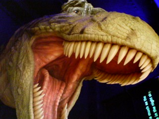 e0123920_1024249.jpg