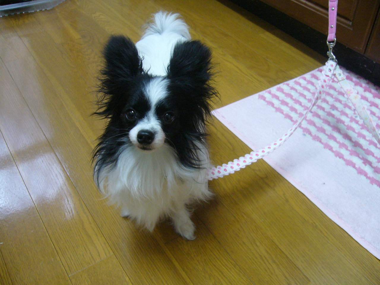 f0135021_16393159.jpg