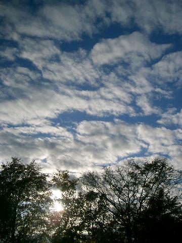 d0102422_1557643.jpg