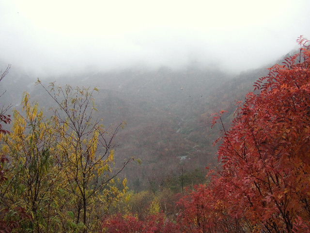 e0064133_052419.jpg