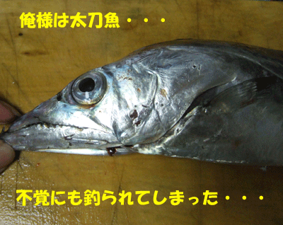 f0008935_16234448.gif