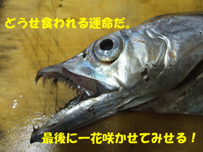f0008935_16235637.gif