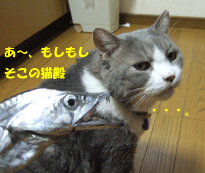 f0008935_16242185.gif