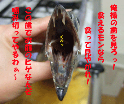 f0008935_16243343.gif
