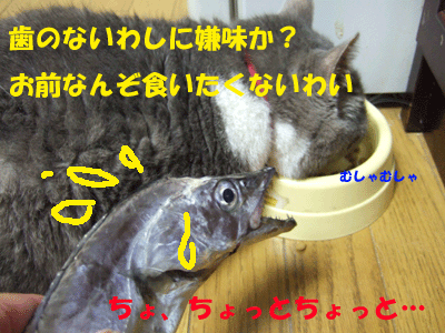 f0008935_16244687.gif