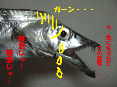 f0008935_16245845.gif