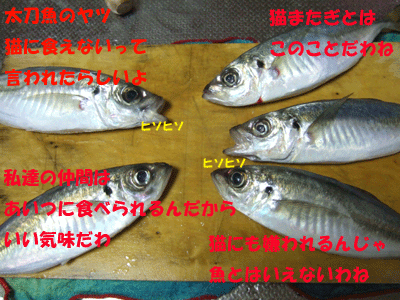 f0008935_16251091.gif