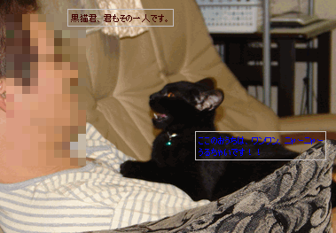 c0136736_1851199.gif