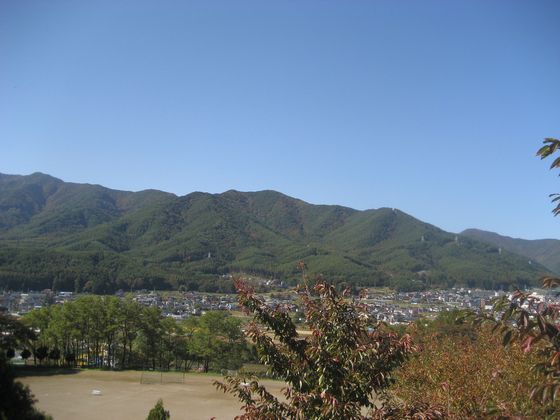a0019637_993487.jpg