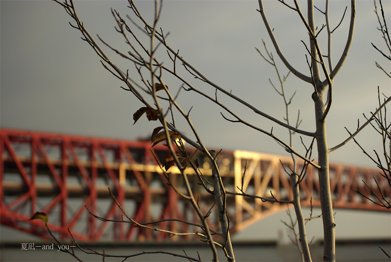 c0121738_4231771.jpg