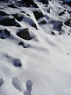 f0065941_041520.jpg