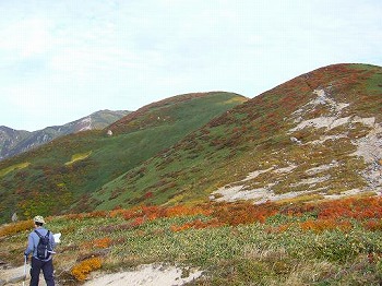 f0065941_20381424.jpg
