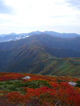 f0065941_2057404.jpg
