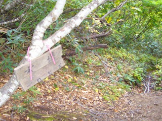 f0065941_2131790.jpg