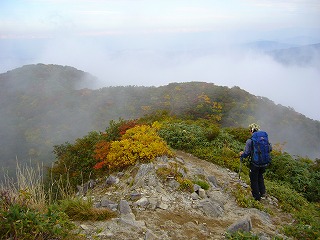 f0065941_21452529.jpg