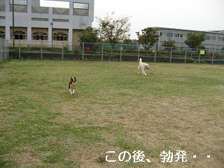 e0126046_21121511.jpg