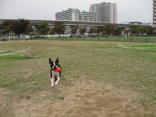 e0126046_21135587.jpg