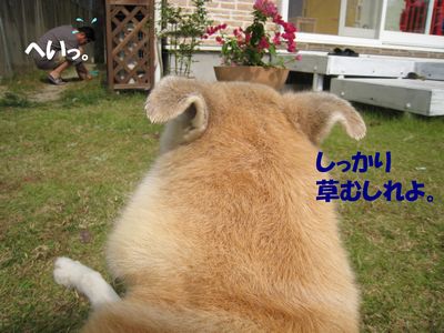 a0090451_2236628.jpg