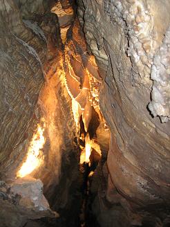 d0086253_2310615.jpg