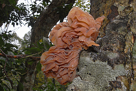 e0113053_22375457.jpg