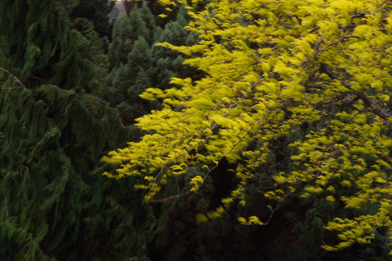 f0137354_15531297.jpg