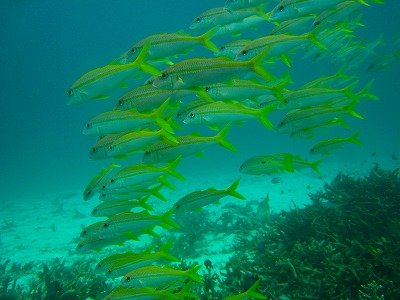b0117957_18438100.jpg