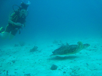 b0117957_1871136.jpg
