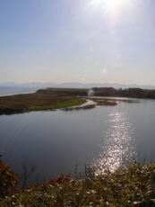 b0086858_373945.jpg