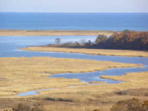 b0086858_383546.jpg