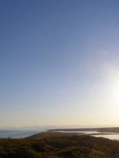 b0086858_391262.jpg